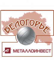 Металлинвест 290.jpg