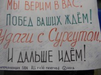 Баннер для львов.jpg