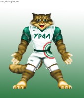 кот чемпион.jpg